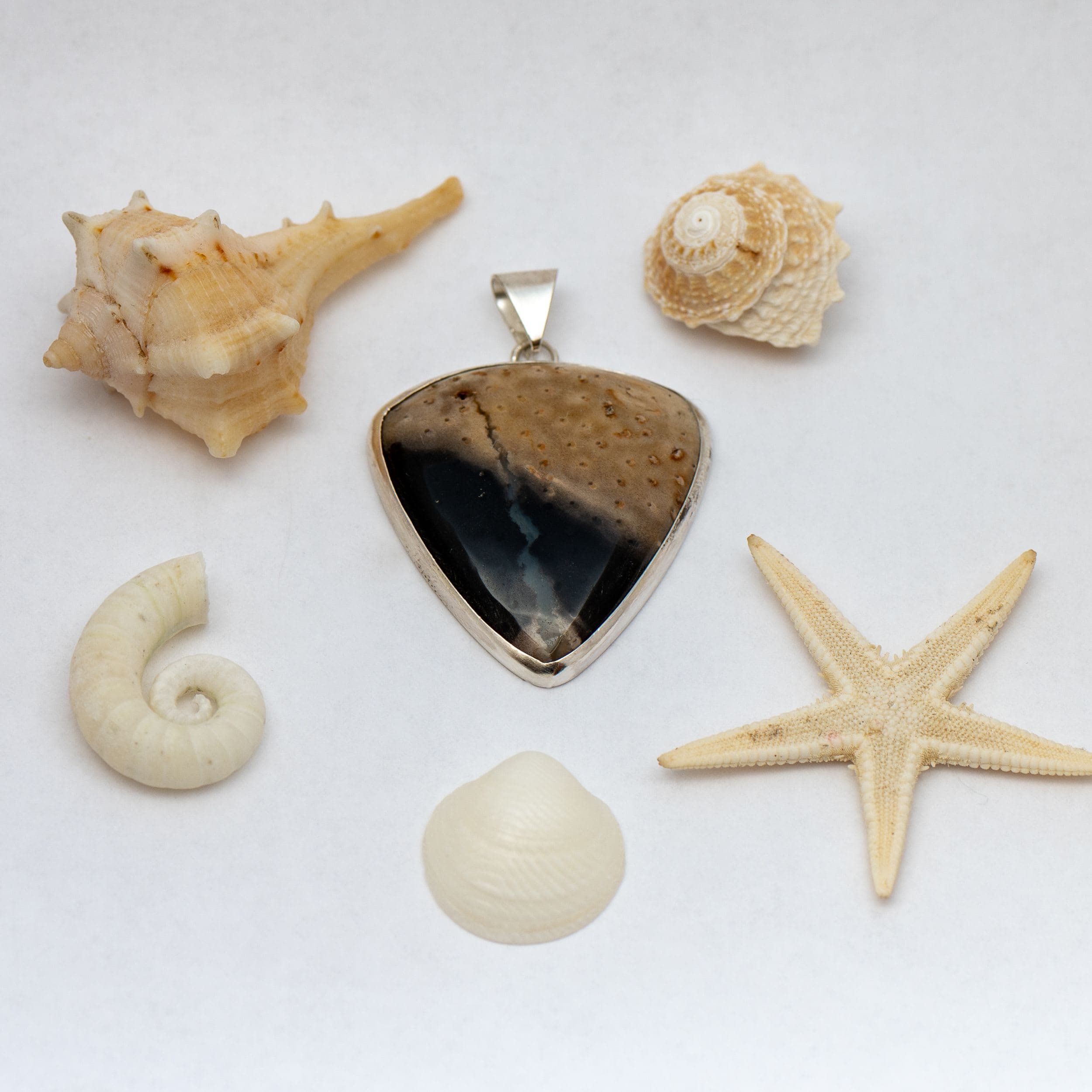 Hanger met versteend palmhout