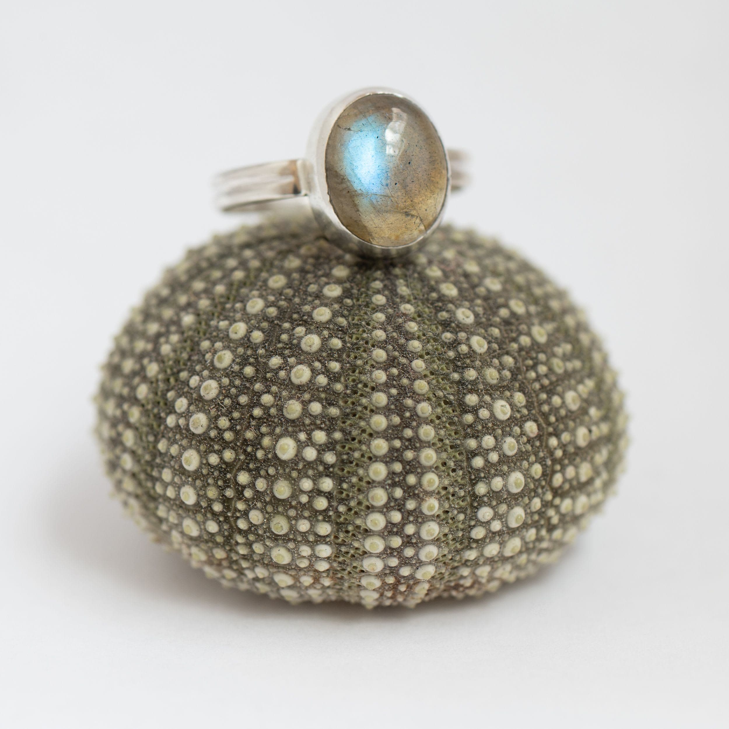 Ring met labradoriet